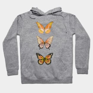 Beautiful Butterflies C Hoodie